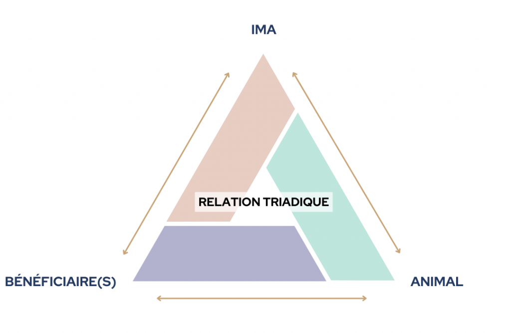 Relation Triadique Médiation Animale